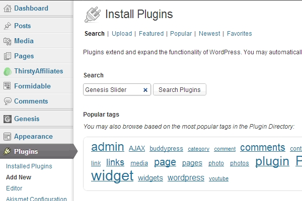 Search WordPress Plugin
